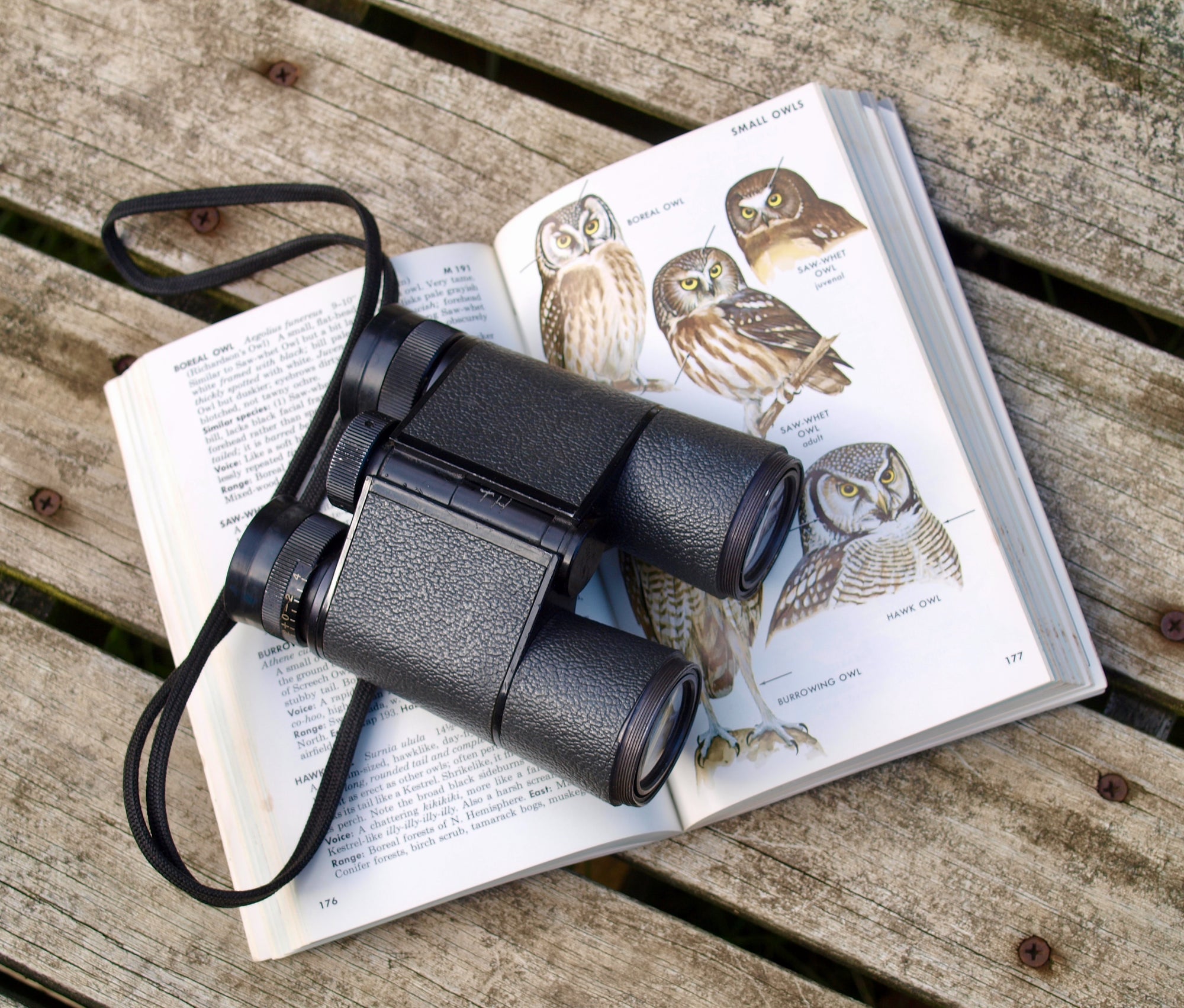 Guidbooks & Binoculars